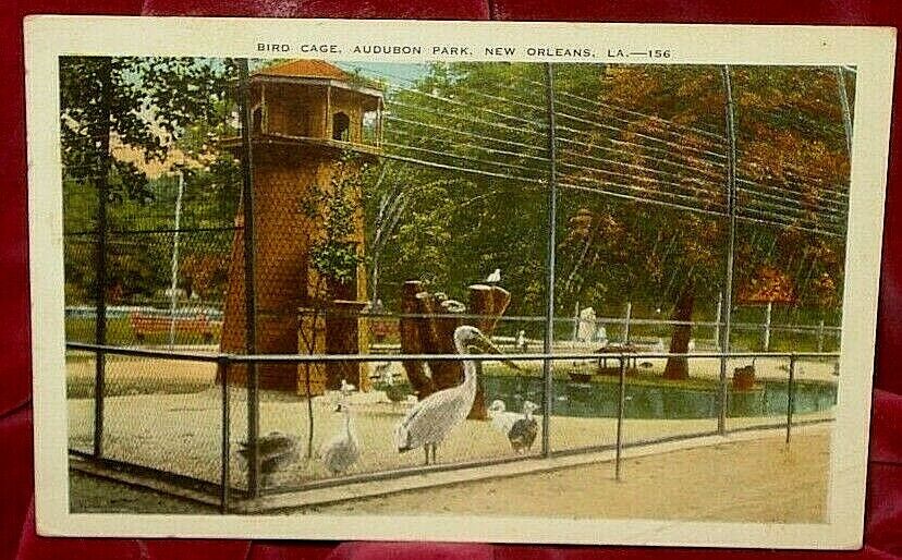 Bird Cage Audubon Park 1936 Postcard New Orleans La 