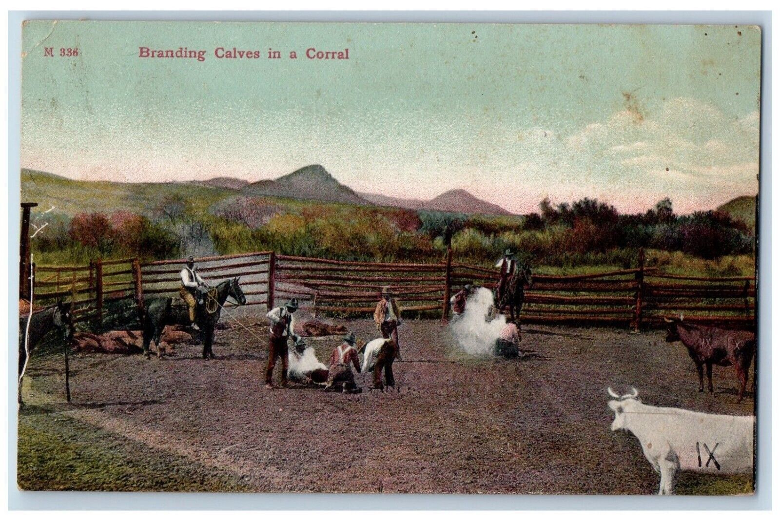 Nekoma North Dakota ND Postcard Branding Calves Corral Animals Farm 1911 Vintage