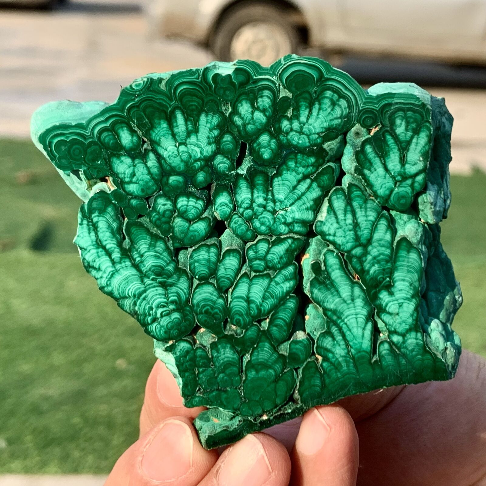 194G Natural Malachite transparent cluster coarse  mineral flaky sample