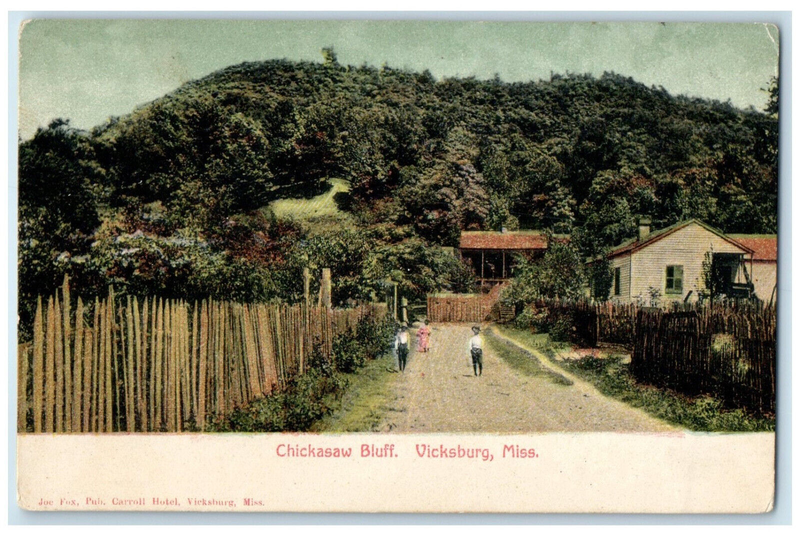 c1910 Chickasaw Bluff Vicksburg Mississippi MS Antique Unposted Postcard