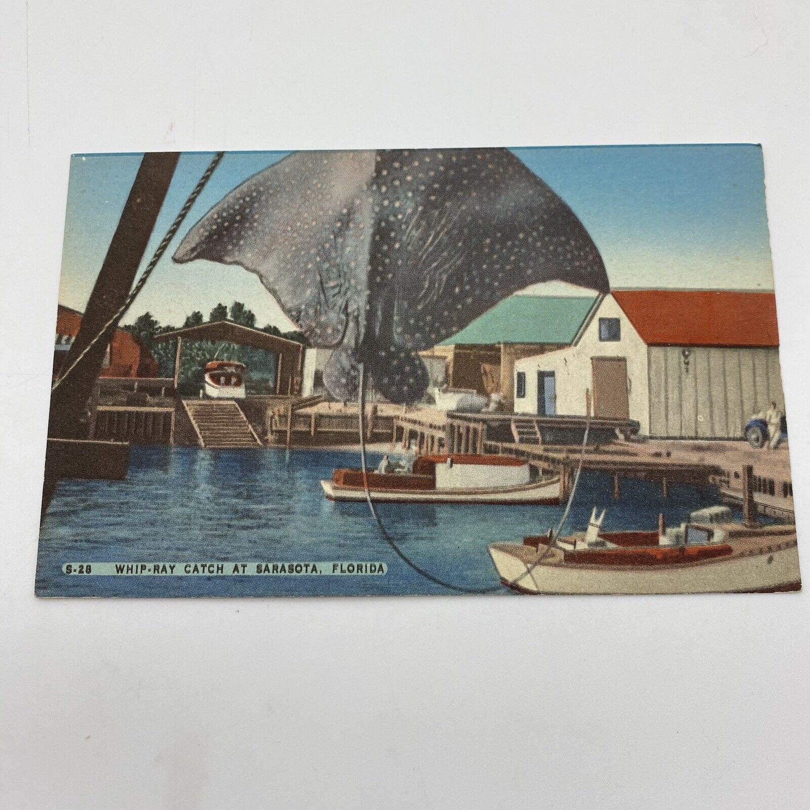 Vintage Sarasota FL Postcard Whip-Ray Catch Pier Fishing Linen Unposted Boats