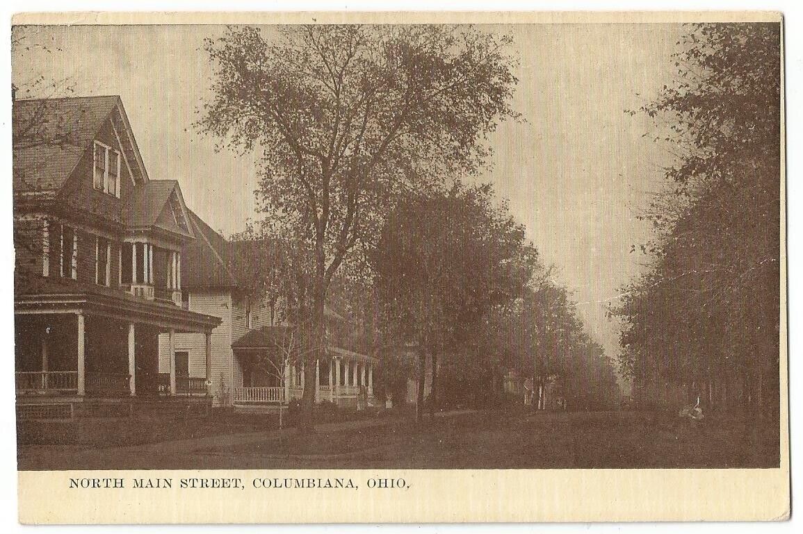 Columbiana Ohio OH ~ North Main Street Residential District c.1910