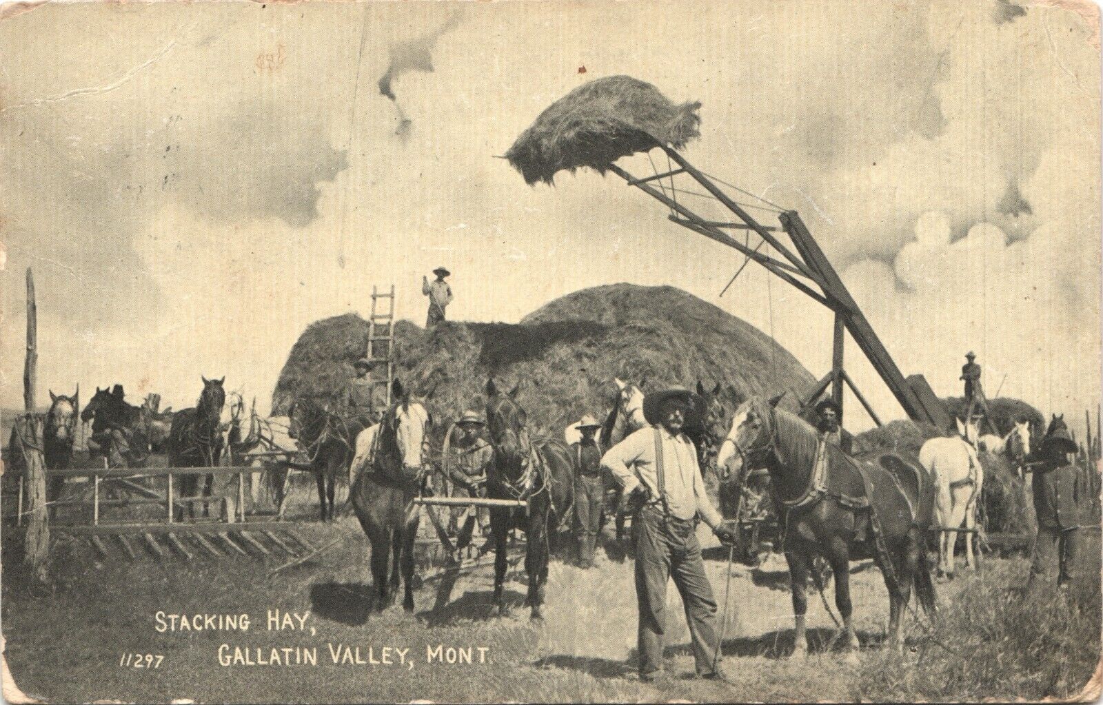GALLATIN VALLEY STACKING HAY original antique postcard MONTANA MT c1910 farm