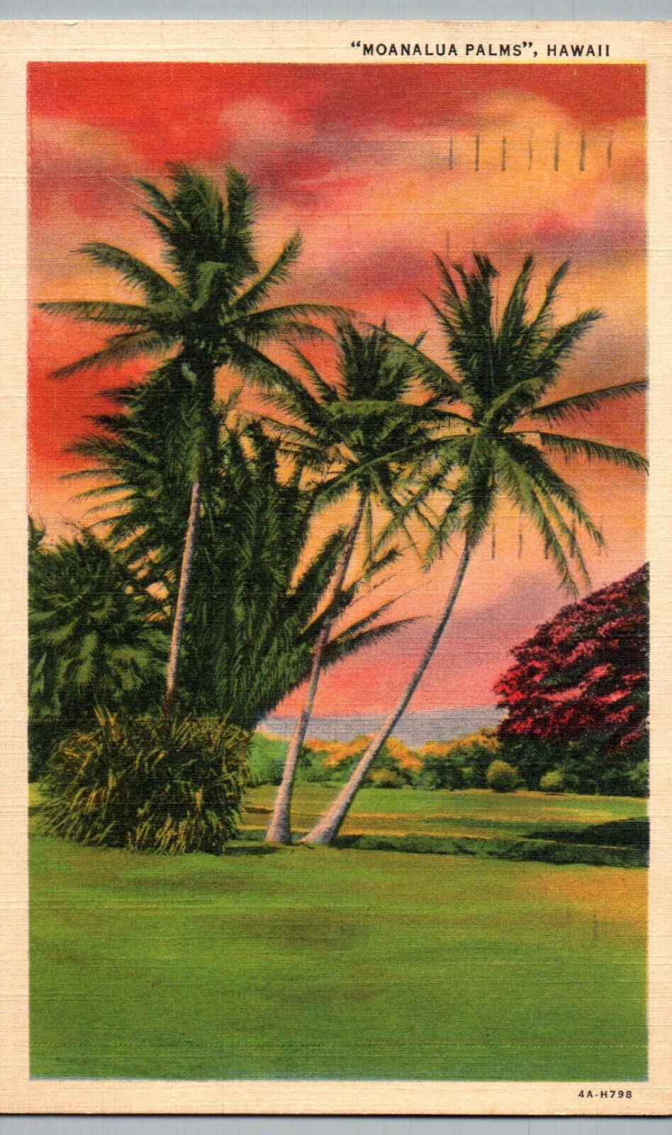 Hawaii Postcard Vintage Linen Moanalua Palms Tree 1937 Posted Sunset HI Islands