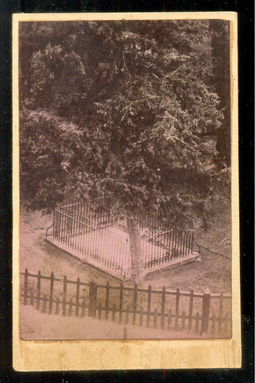 CDV Île de St. Helena; Napoleon's Tomb; Vintage Albumen Print c.1888/90 