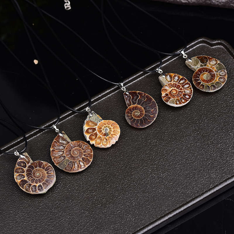 10Pcs Natural Conch Fossil Quartz Energy Stone Crystal Healing Pendant Necklace