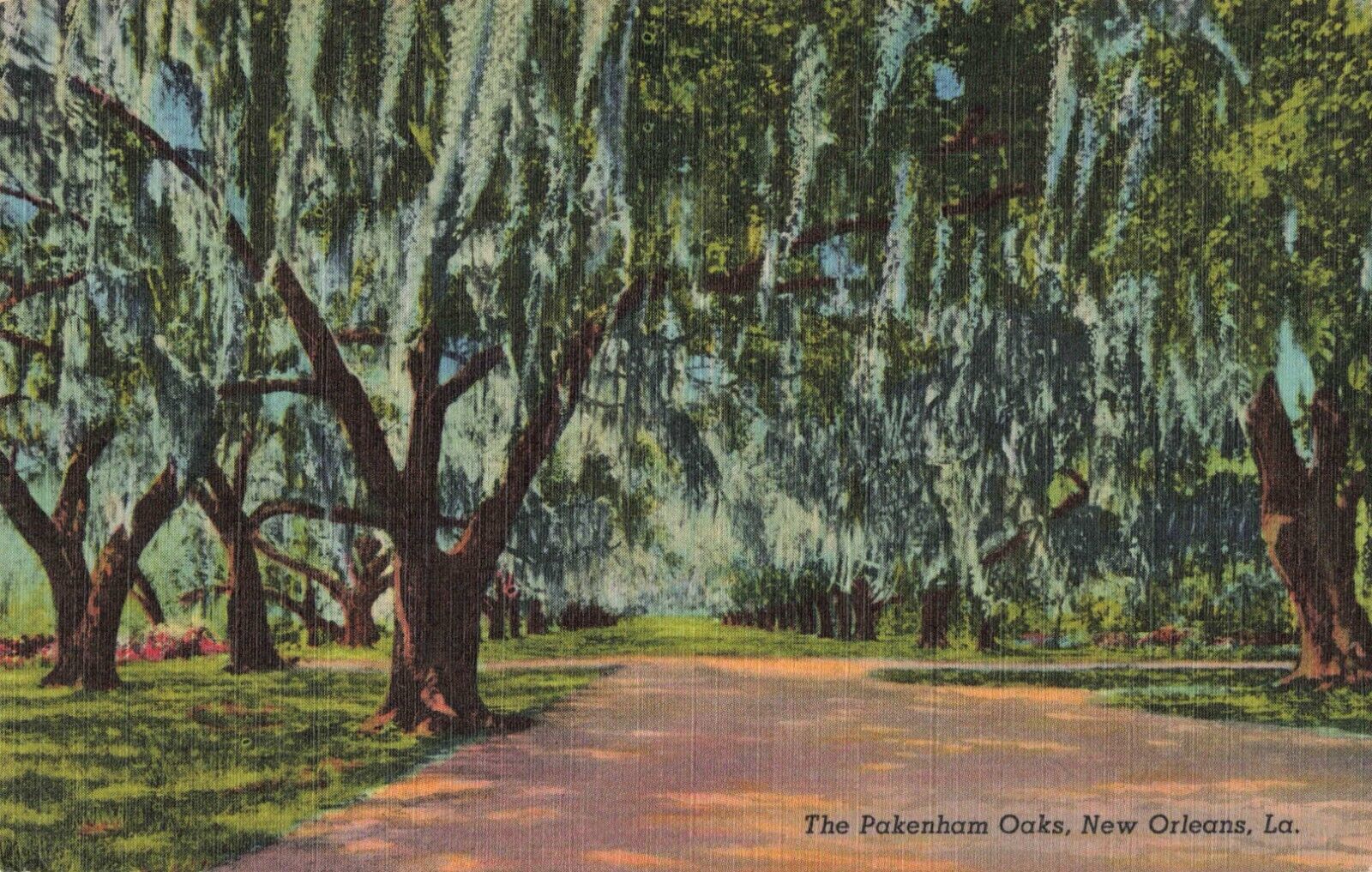 New Orleans LA Louisiana, The Pakenham Oaks, Vintage Postcard