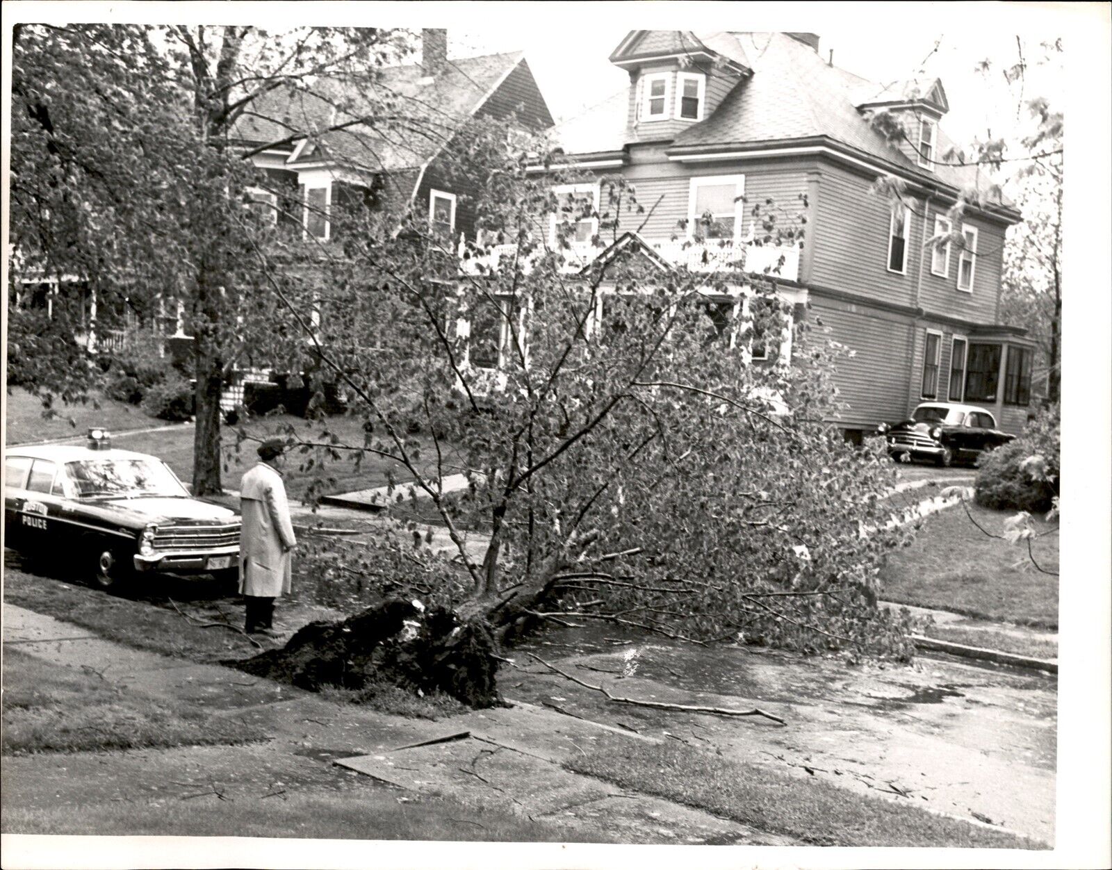 LD311 1967 Orig Ollie Noonan Photo BOSTON GREAT MAY STORM OF 1967 TOPPLES TREE