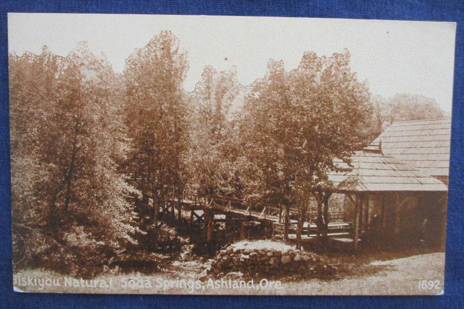 1910s Ashland Oregon Siskiyou Natural Soda Springs Postcard