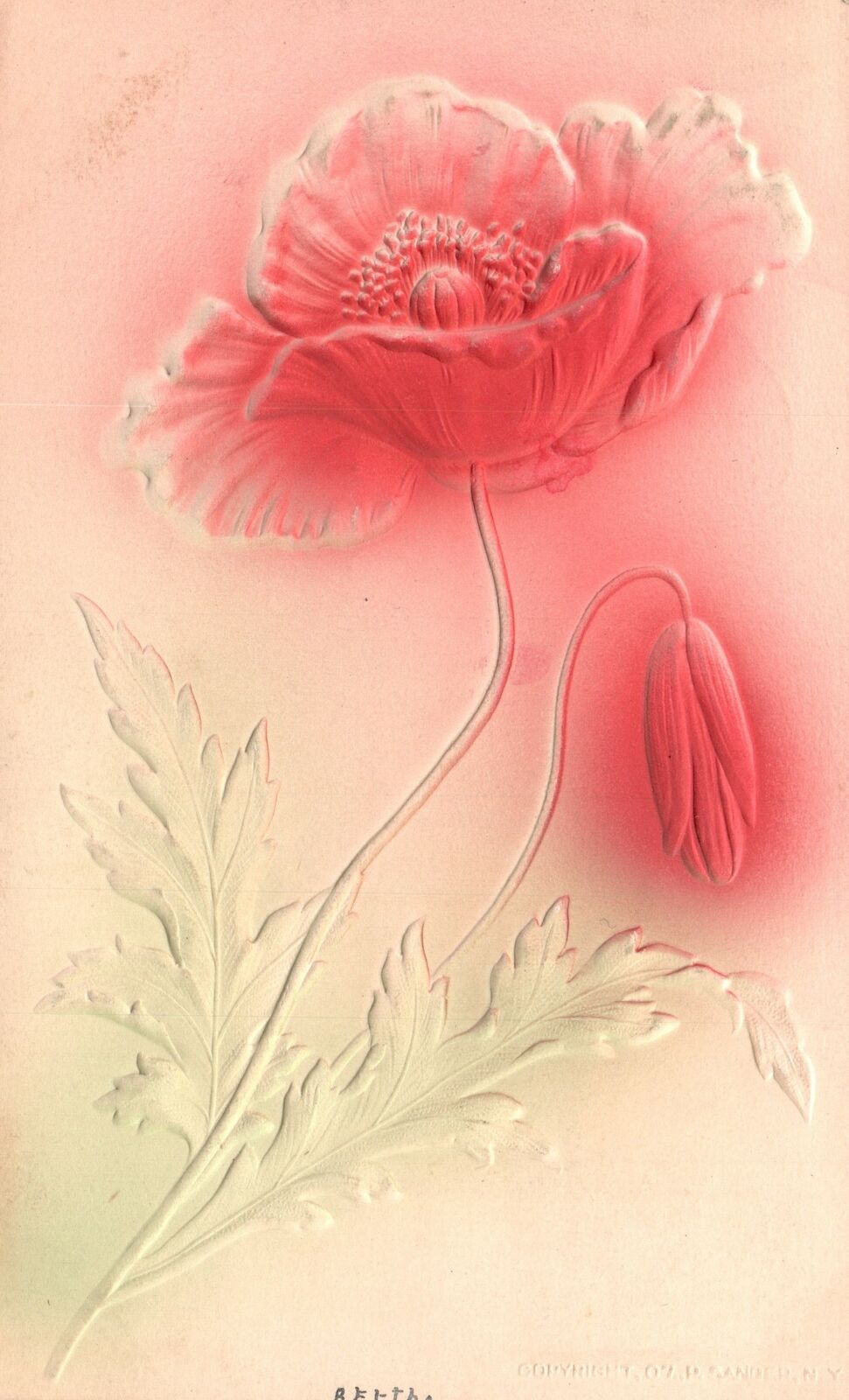 Vintage Postcard 1910\'s Embossed Flower Plain Background Greetings & Wishes