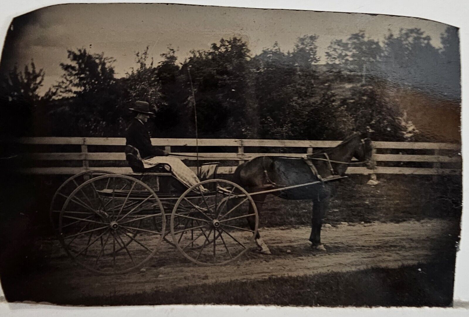 Antique Horse, Buggy Tintype Man With Lap Blanket Big Wheeled  C1880s 3 3/4x2.5