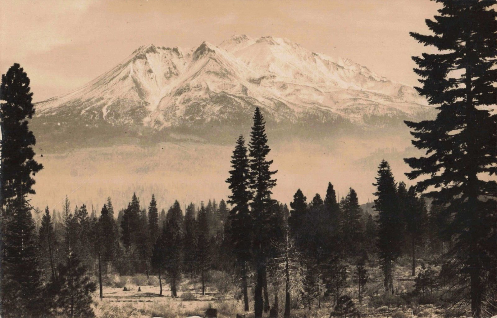 Mount Shasta CA California, Scenic View, Vintage RPPC Real Photo Postcard