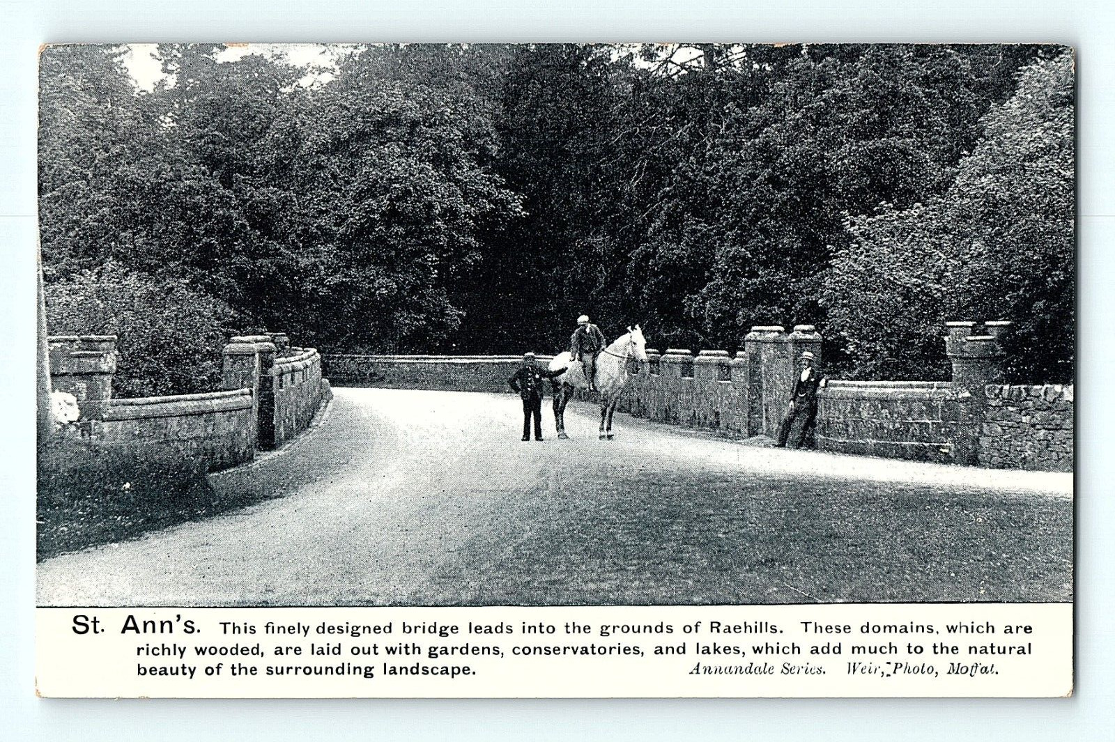 St. Ann's Bridge Raehills Estate Scotland Antique Postcard D4