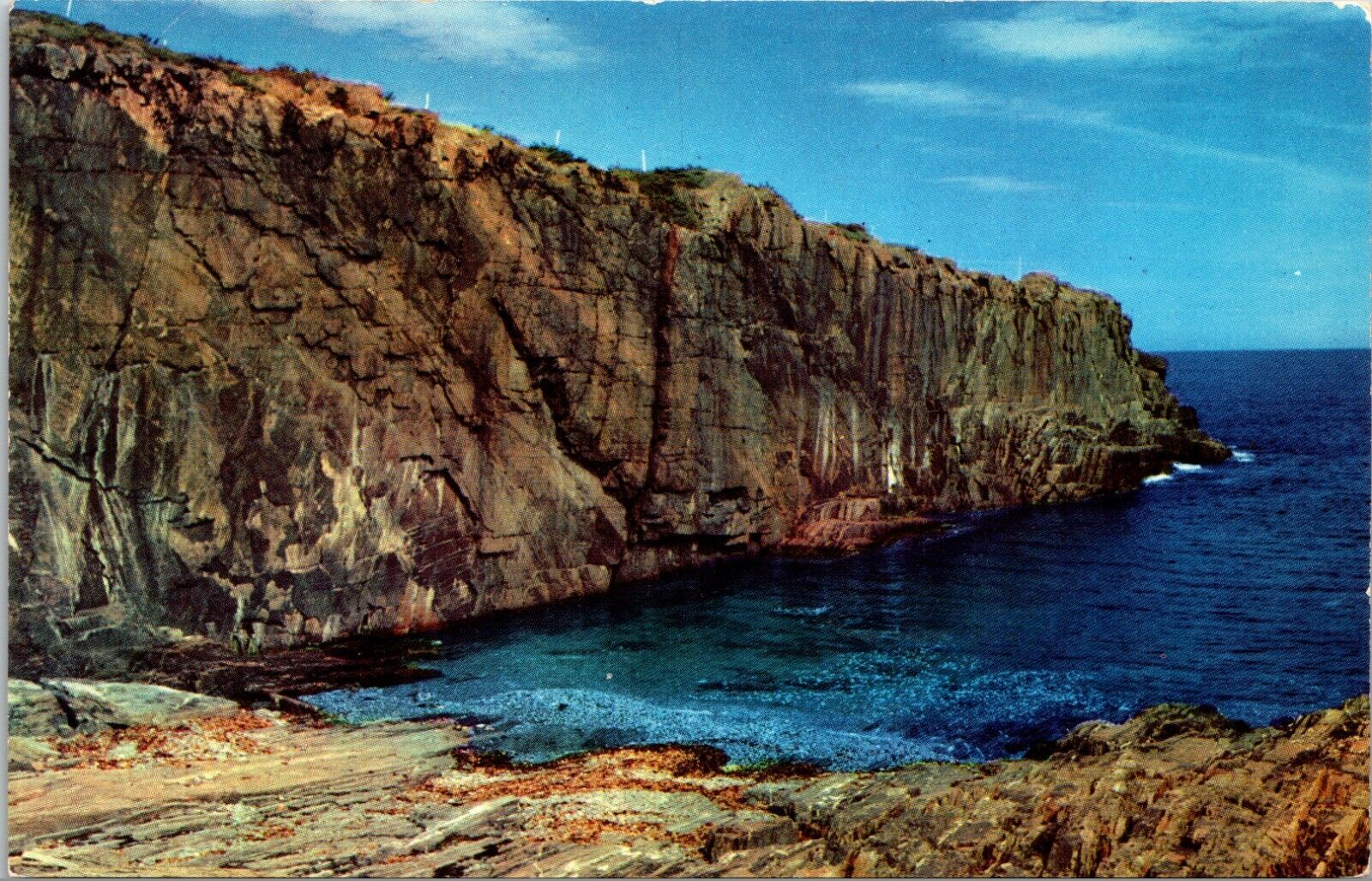 View of Baldhead Cliff Ogunquit Maine Vintage Postcard
