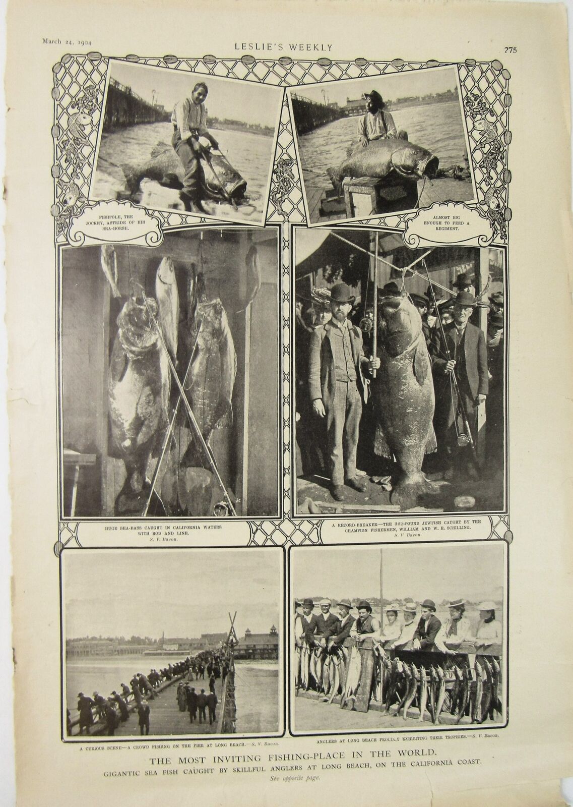 1904 Long Beach CA Fishing Ad Leslie\'s Weekly Giant Sea Fishing Anglers Photos 