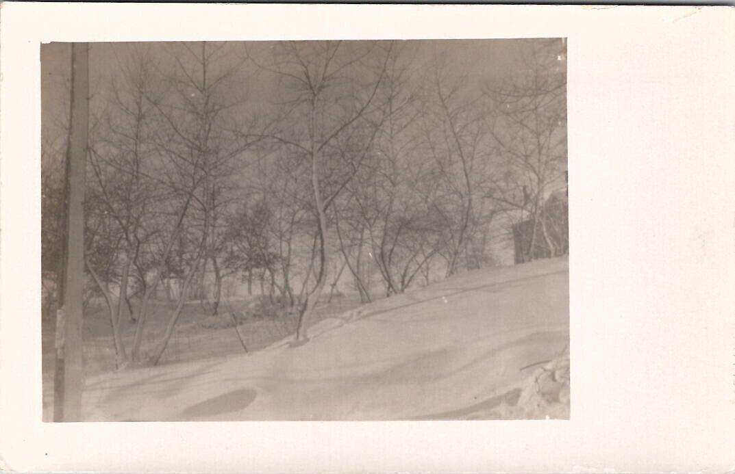 Winter Snow Scene Curved Tree RPPC Postcard Z17