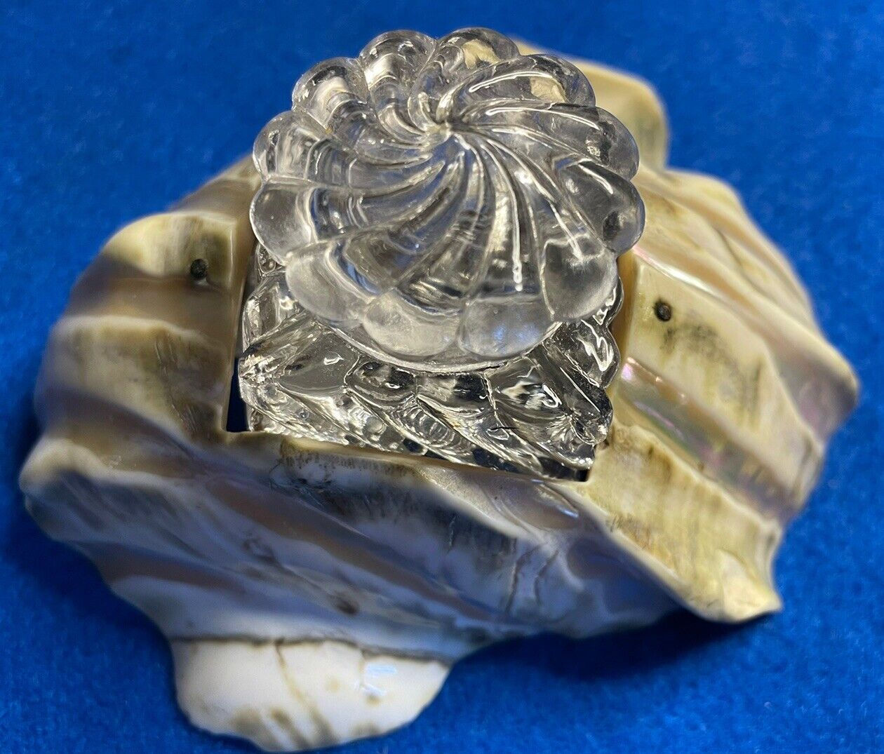 Inkwell Mother Of Pearl Victorian Shell Ocean Crystal Glass