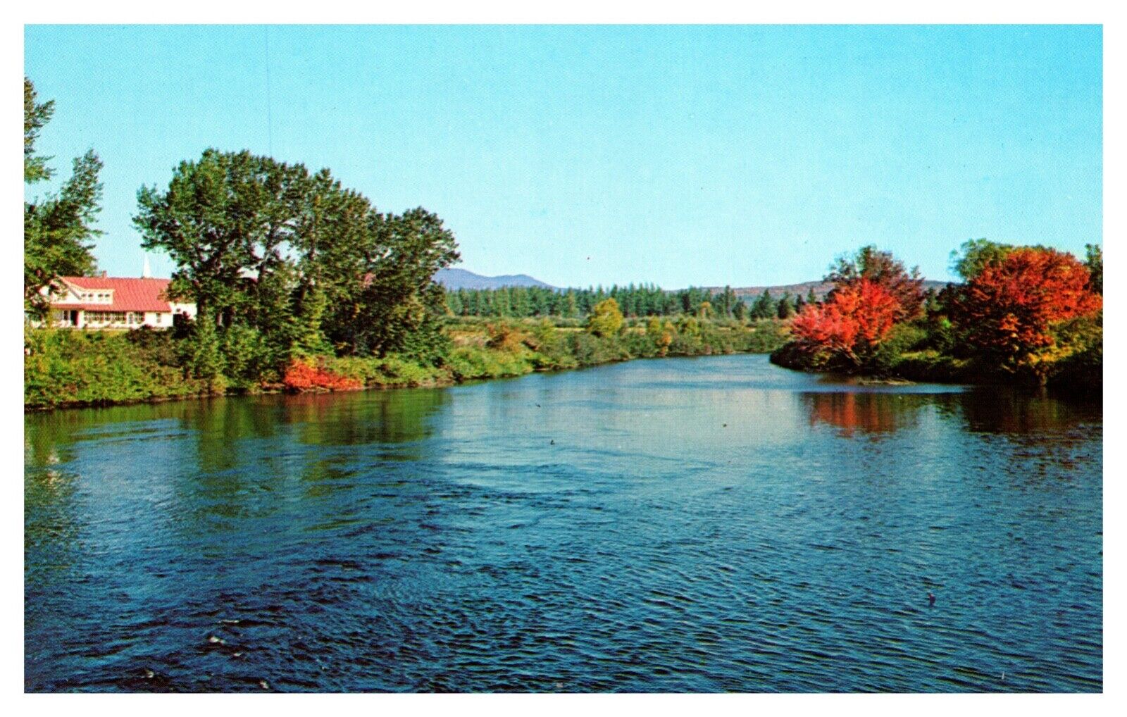 Jackman ME Maine Moose River Fall Autumn Scene Chrome Postcard
