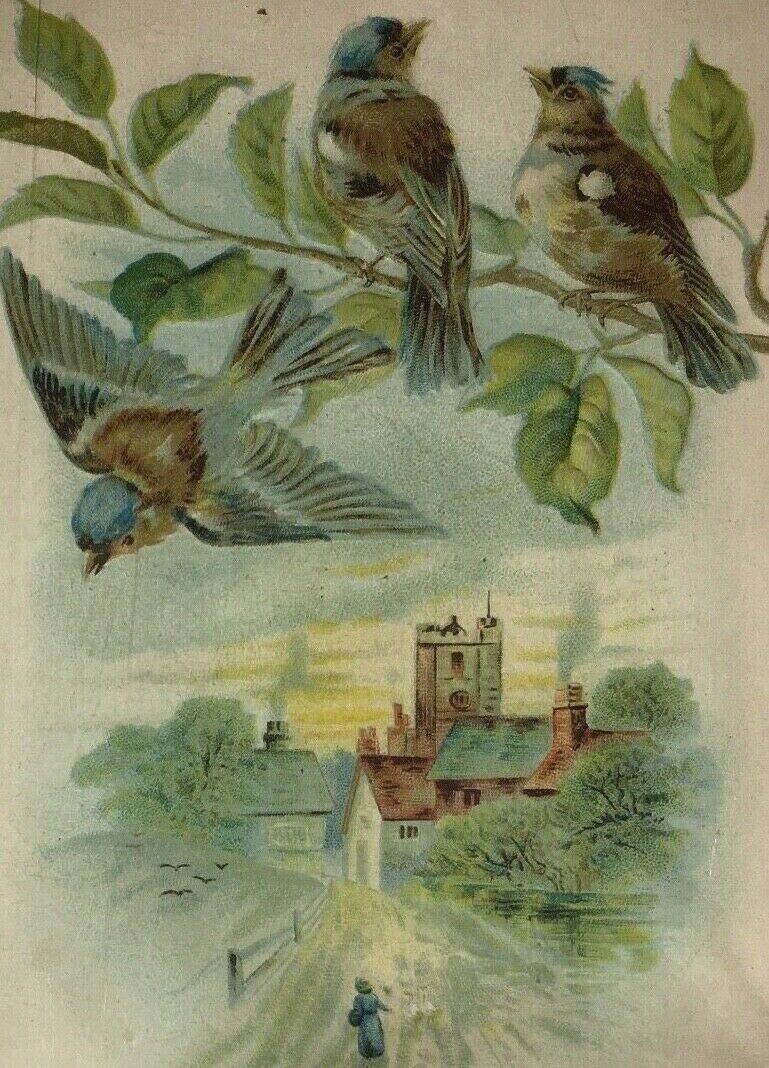 1870s-80s Embossed Blue Birds Victorian Trade Card Kast Iron Combination Suit