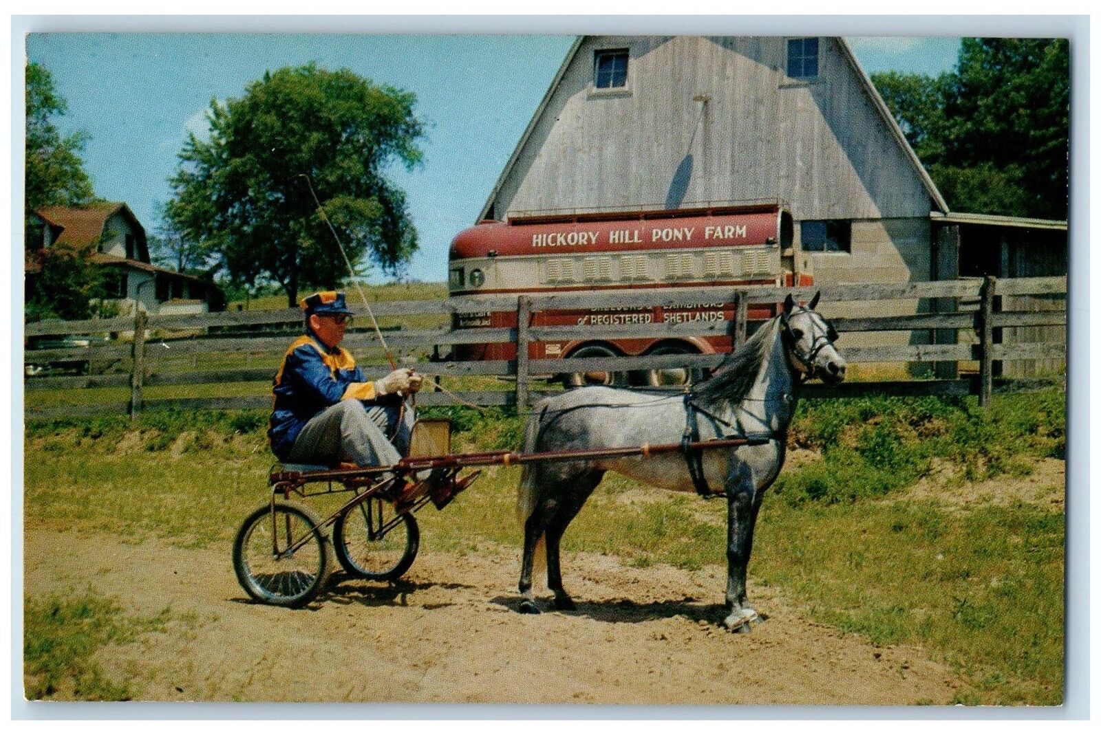 c1960s Windy Hills Roxanne Hickory Hill Pony Farm Scene Martinsville IN Postcard