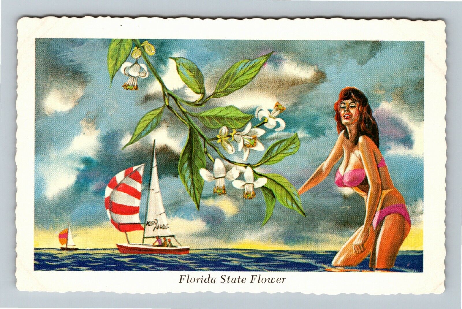 FL-Florida, State Flower Orange Blossom, Sail Boat Vintage Souvenir Postcard