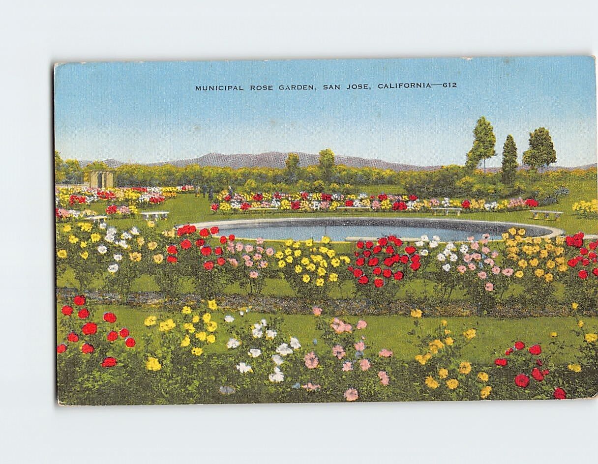Postcard Municipal Rose Garden San Jose California USA