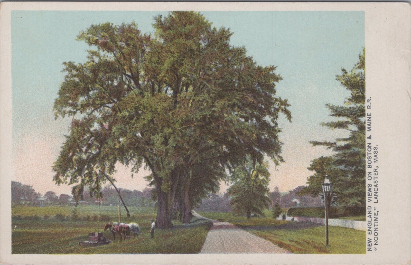 Elmwood Lancaster Massachusetts Postcard