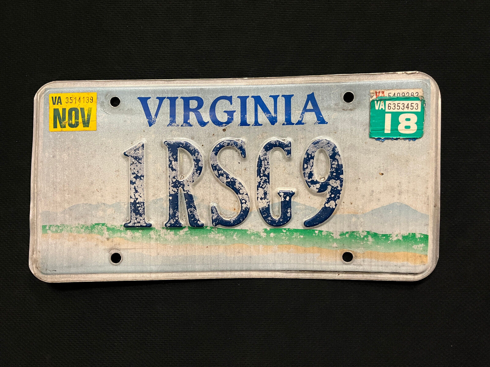 2018 Virginia License Plate 1RSG9 ........ PERSONALIZED & MOUNTAINS TO SEA