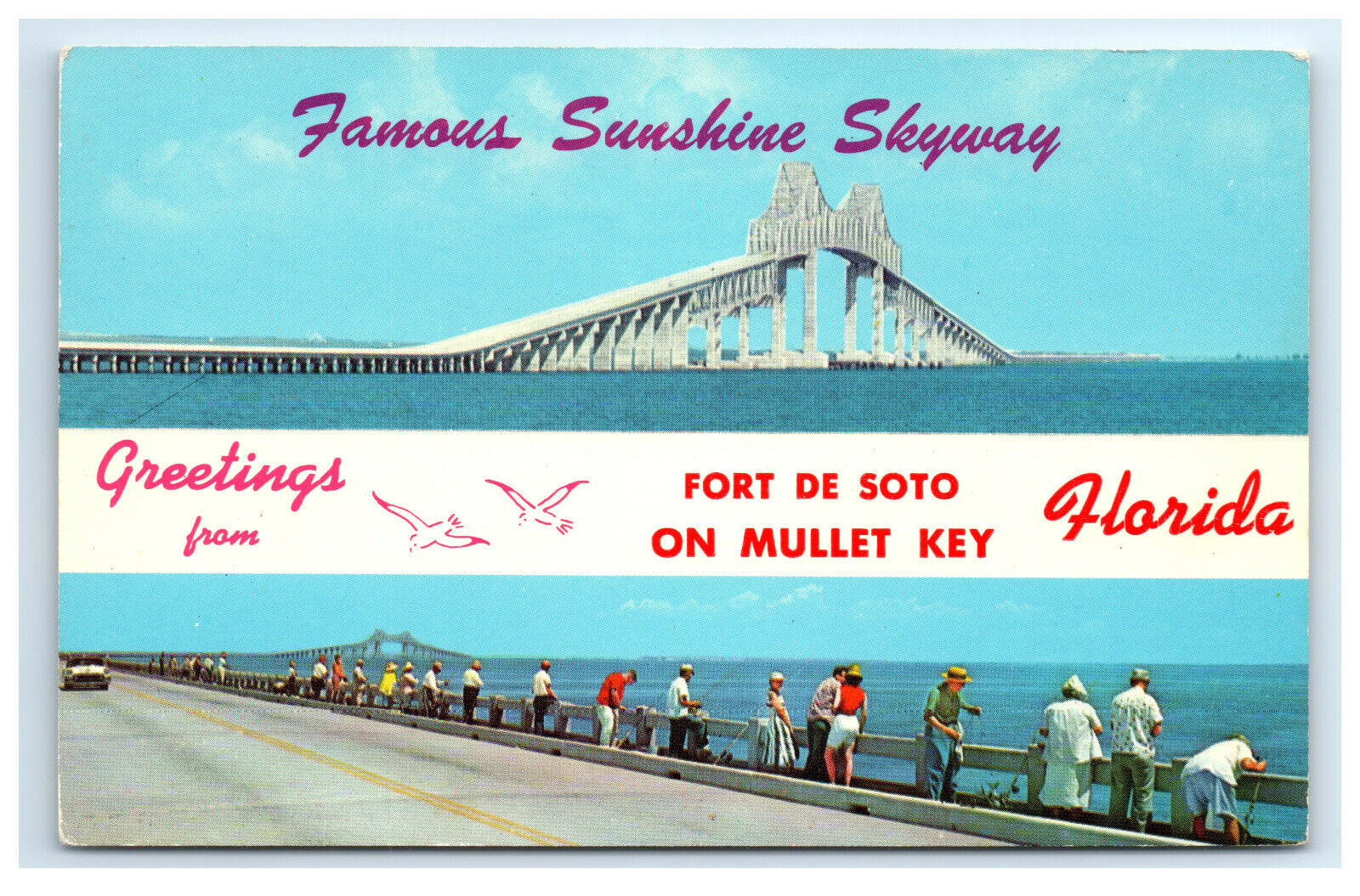 Postcard Famous Sunshine Skyway - Greetings from FL C9