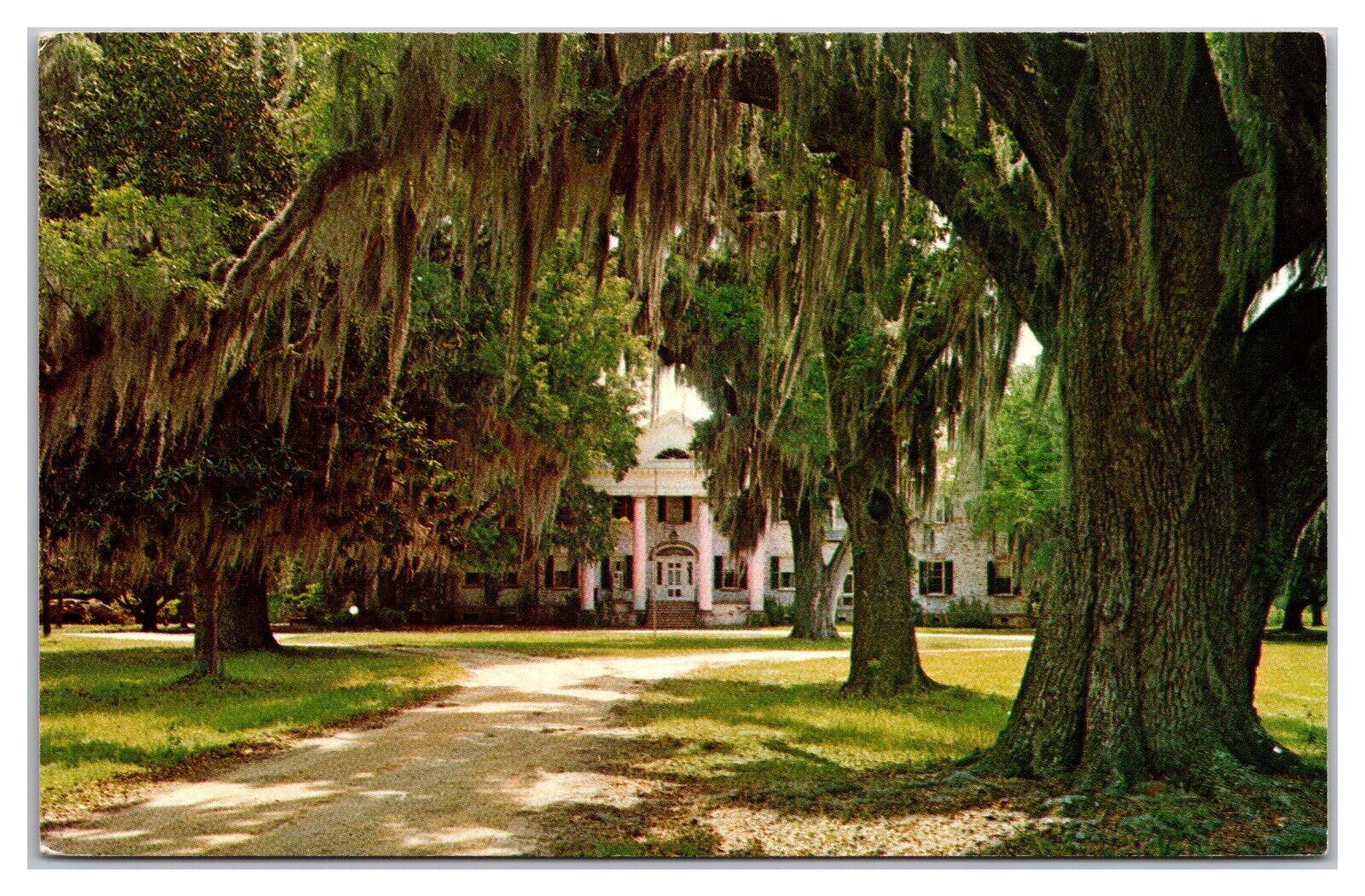 Bonnie Boone Plantation, Walterboro, South Carolina Postcard