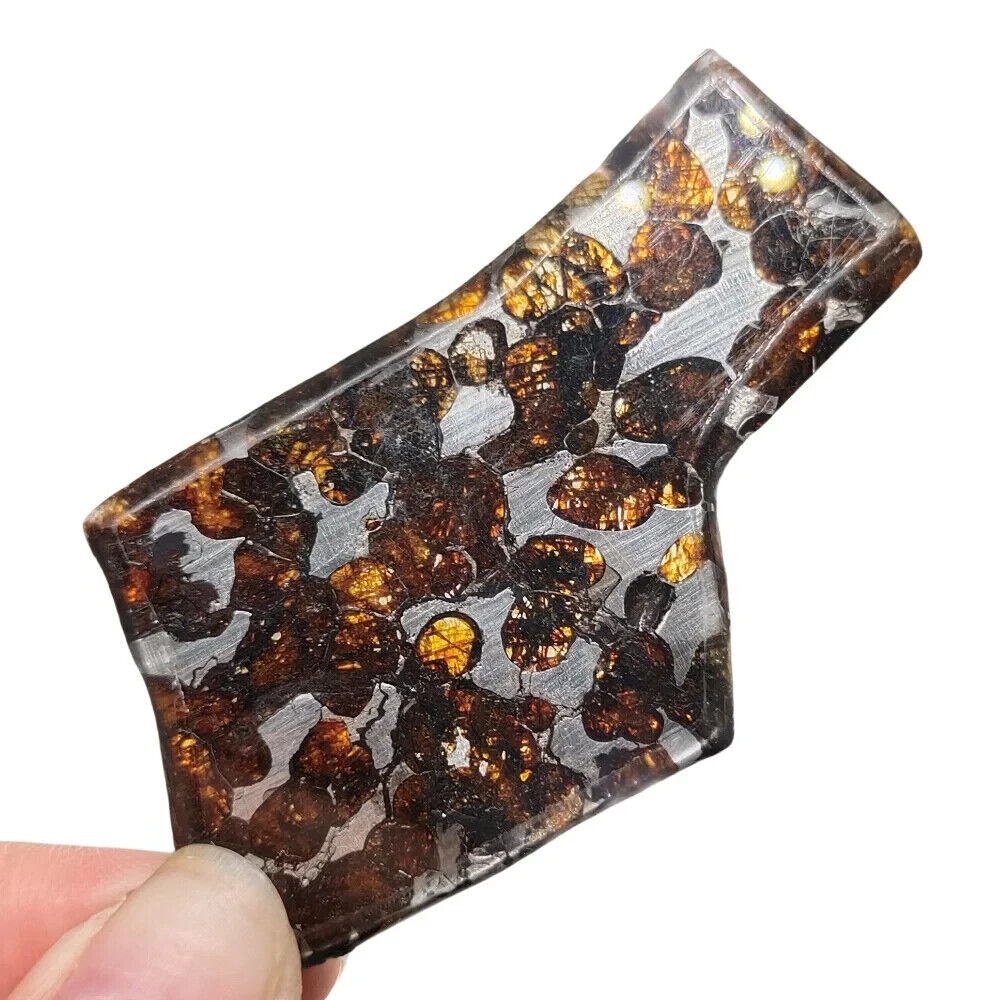 14.7g excellent SERICHO Pallasite olive meteorite slices - from Kenya QA474