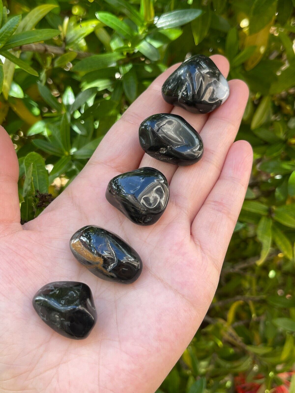Grade A++ Black Onyx Tumbled Stones, 0.8\