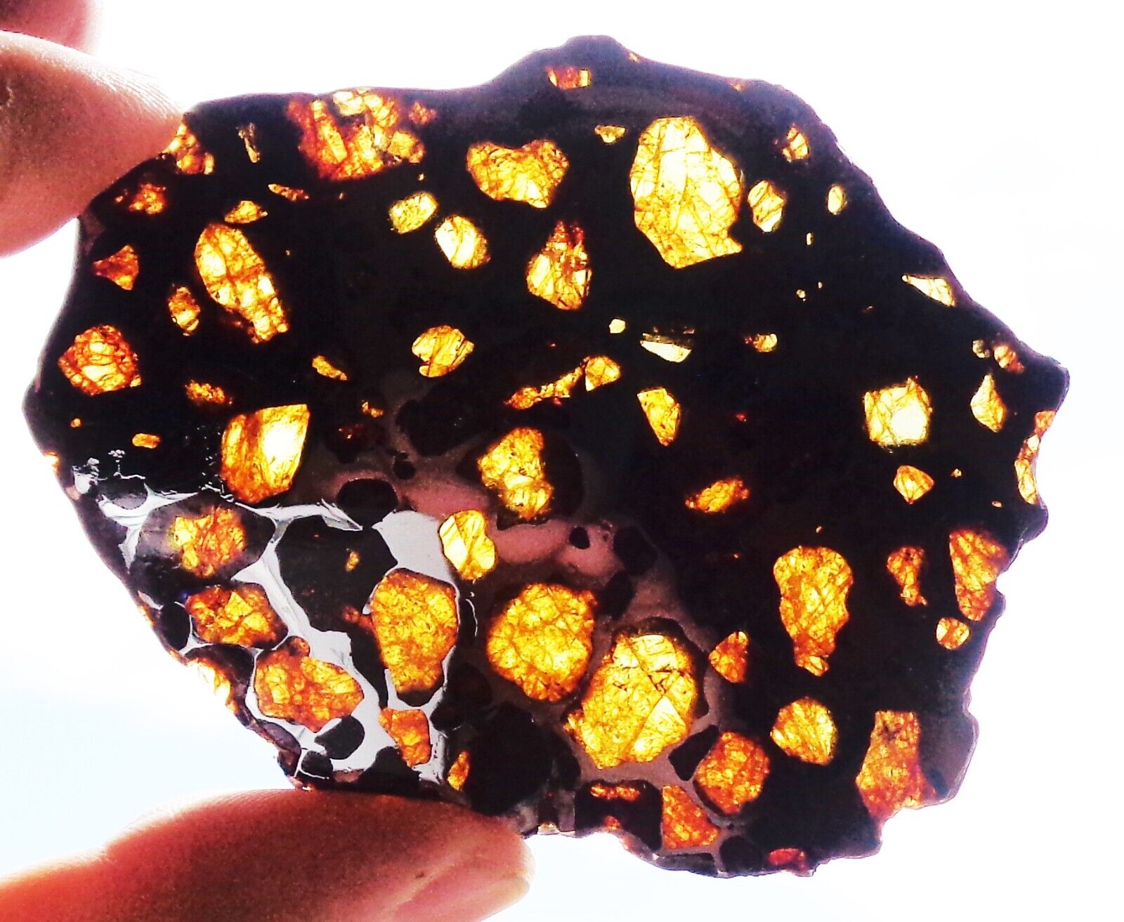 Meteorite IMILAC, Pallasite, Perfect complete transparent slice 55.2 grams.