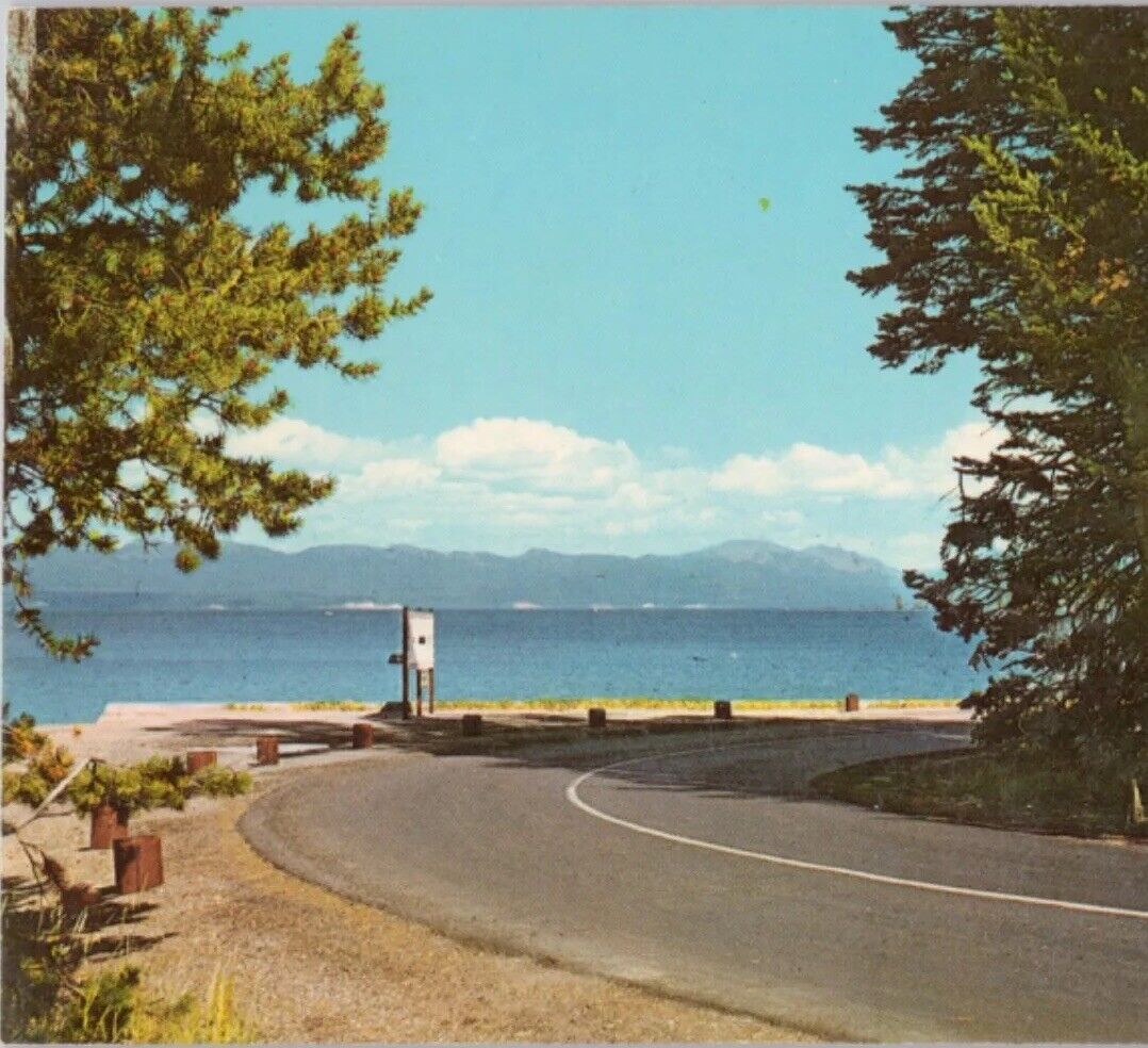 Highway Along Yellowstone Lake Yellowstone Nat’l Park 1965 VTG Postcard Unposted