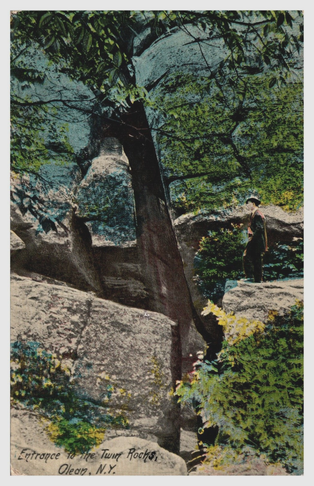 Entrance to the Twin Rocks Olean NY New York C 1911 Postcard