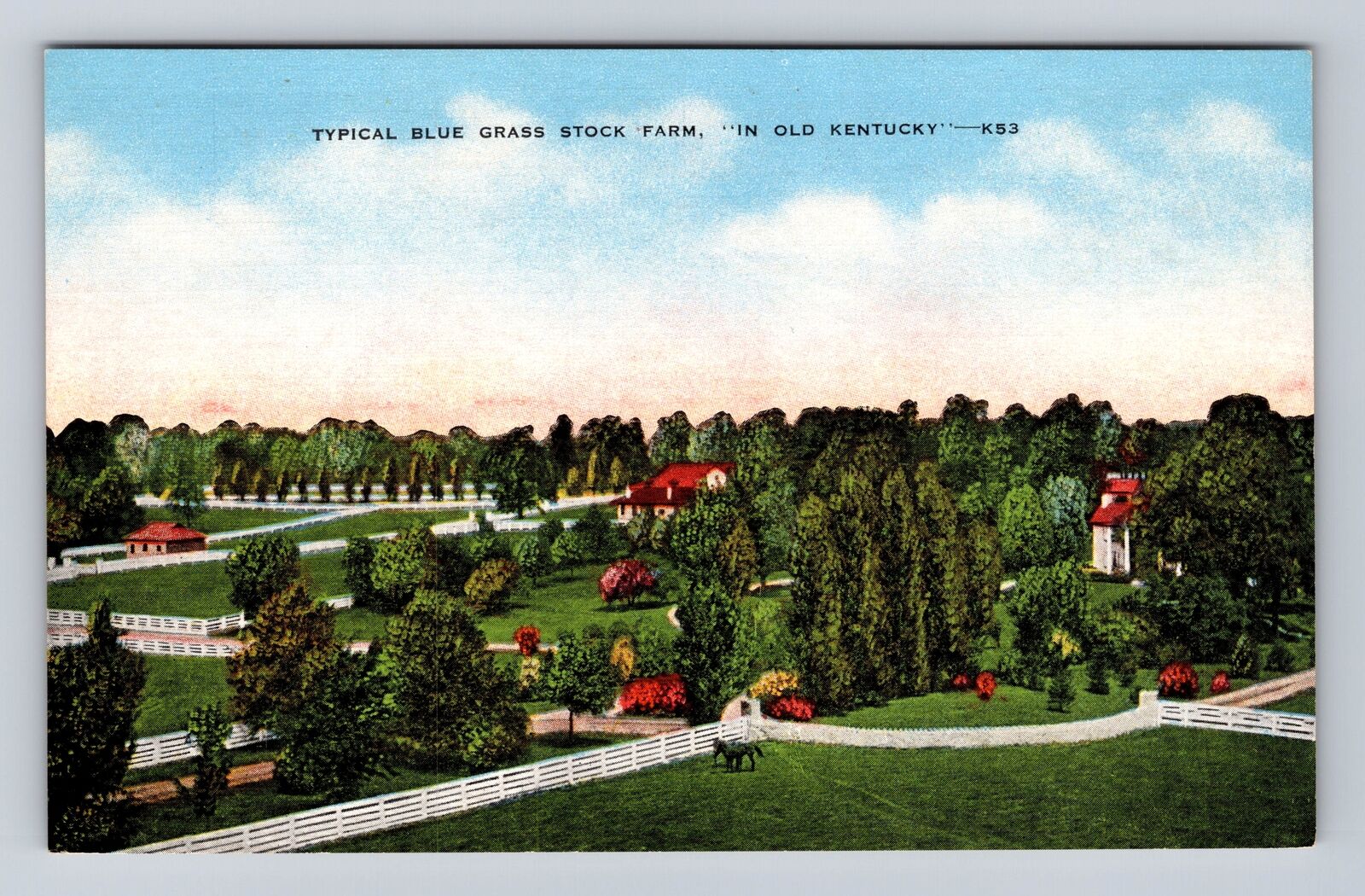 KY-Kentucky, Typical Blue Grass Stock Farm in Kentucky Souvenir Vintage Postcard