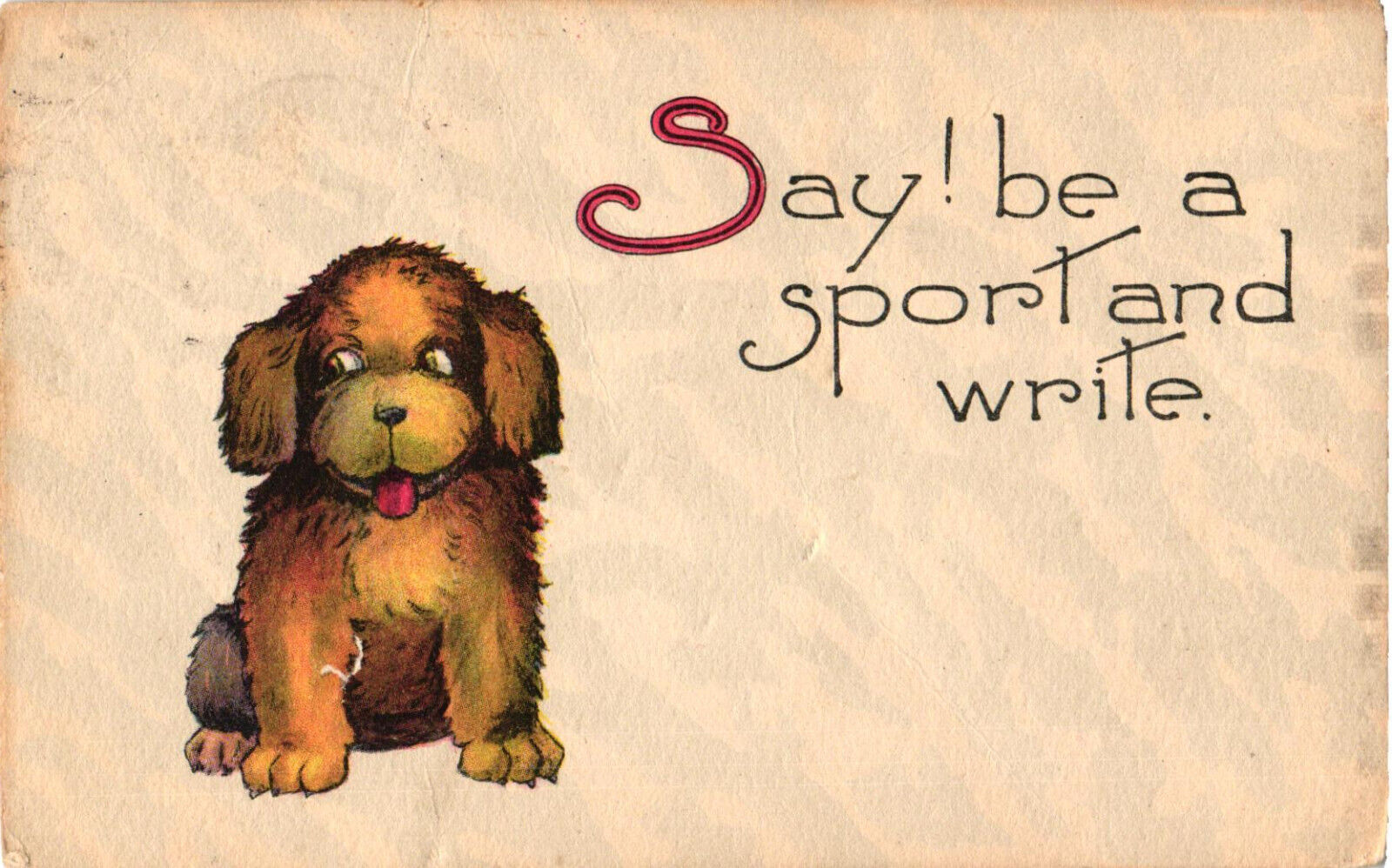 Vintage Posted October 27 191? Postcard SAY BE A SPORT AND WRITE Dog