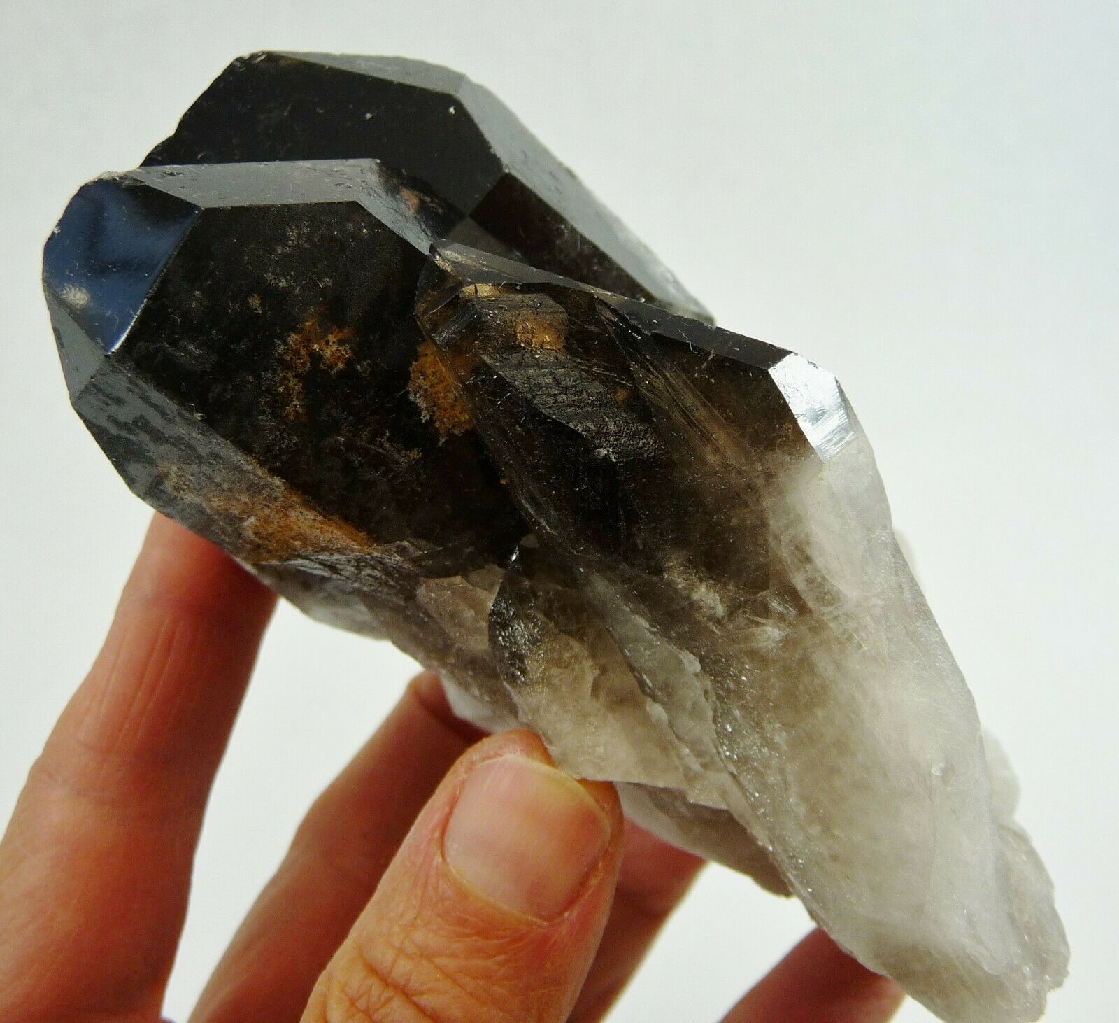 422g Natural Smoky Quartz Crystal Cluster Brazil 