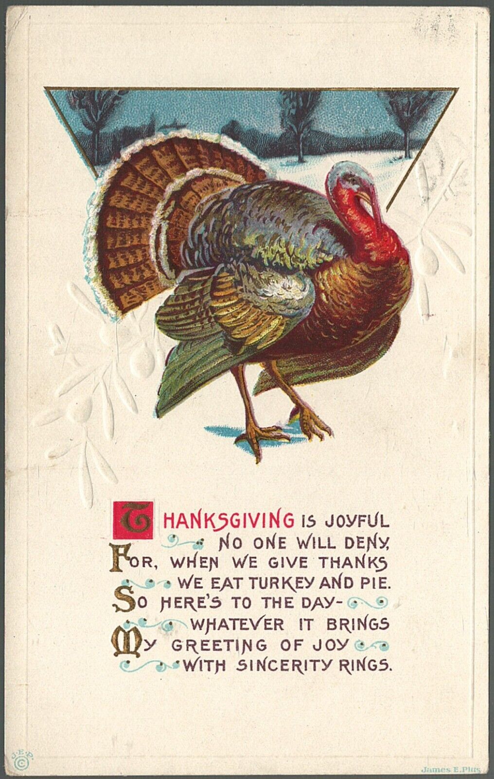 Postcard Thanksgiving Is Joyful Turkey Kahoka Missouri to Shelbyville 1910