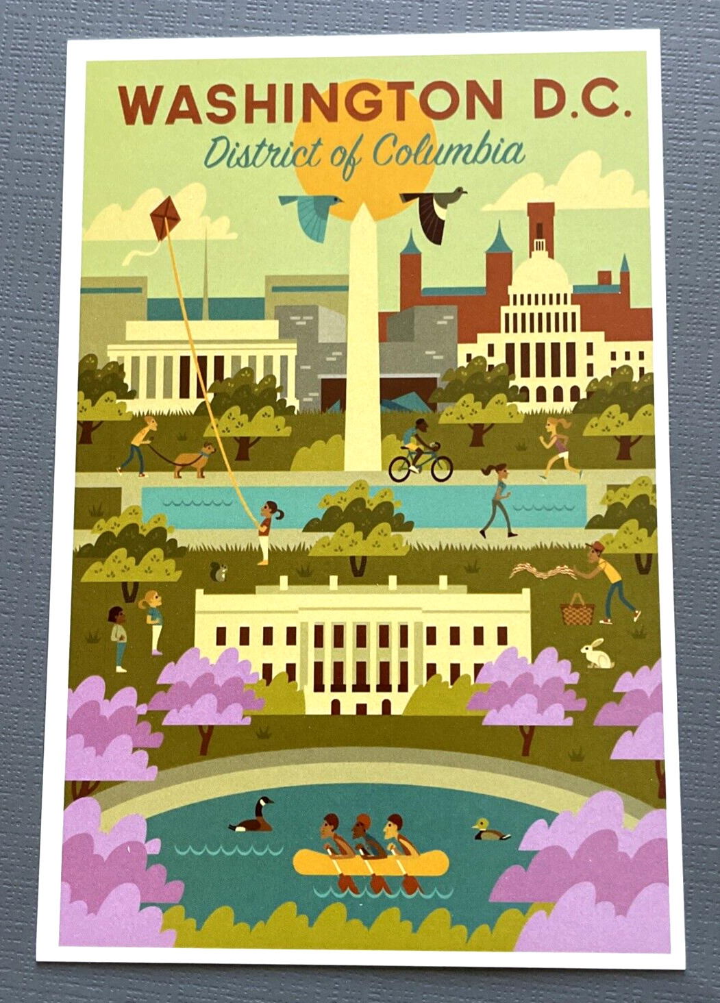 Washington DC - Geometric City Series - Lantern Press Postcard