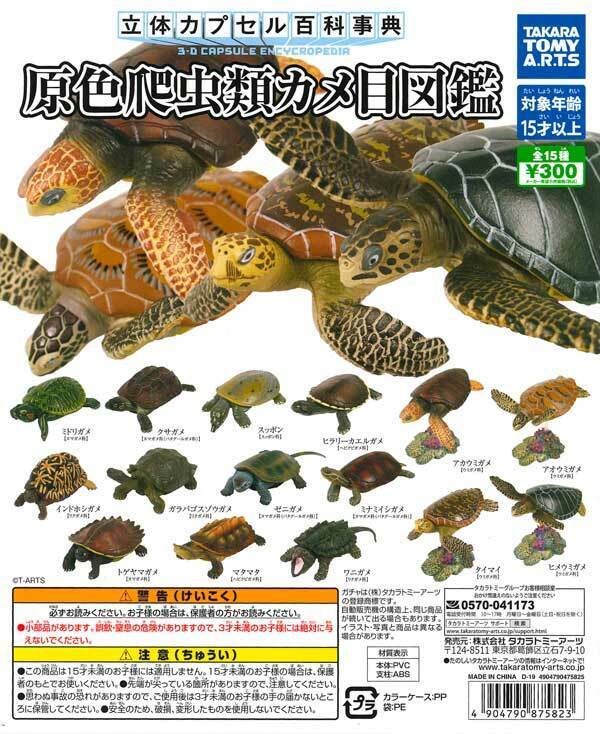 3D Capsule Encyclopedia Primary Color Reptile Turtle Zukan Completed Set 15pcs