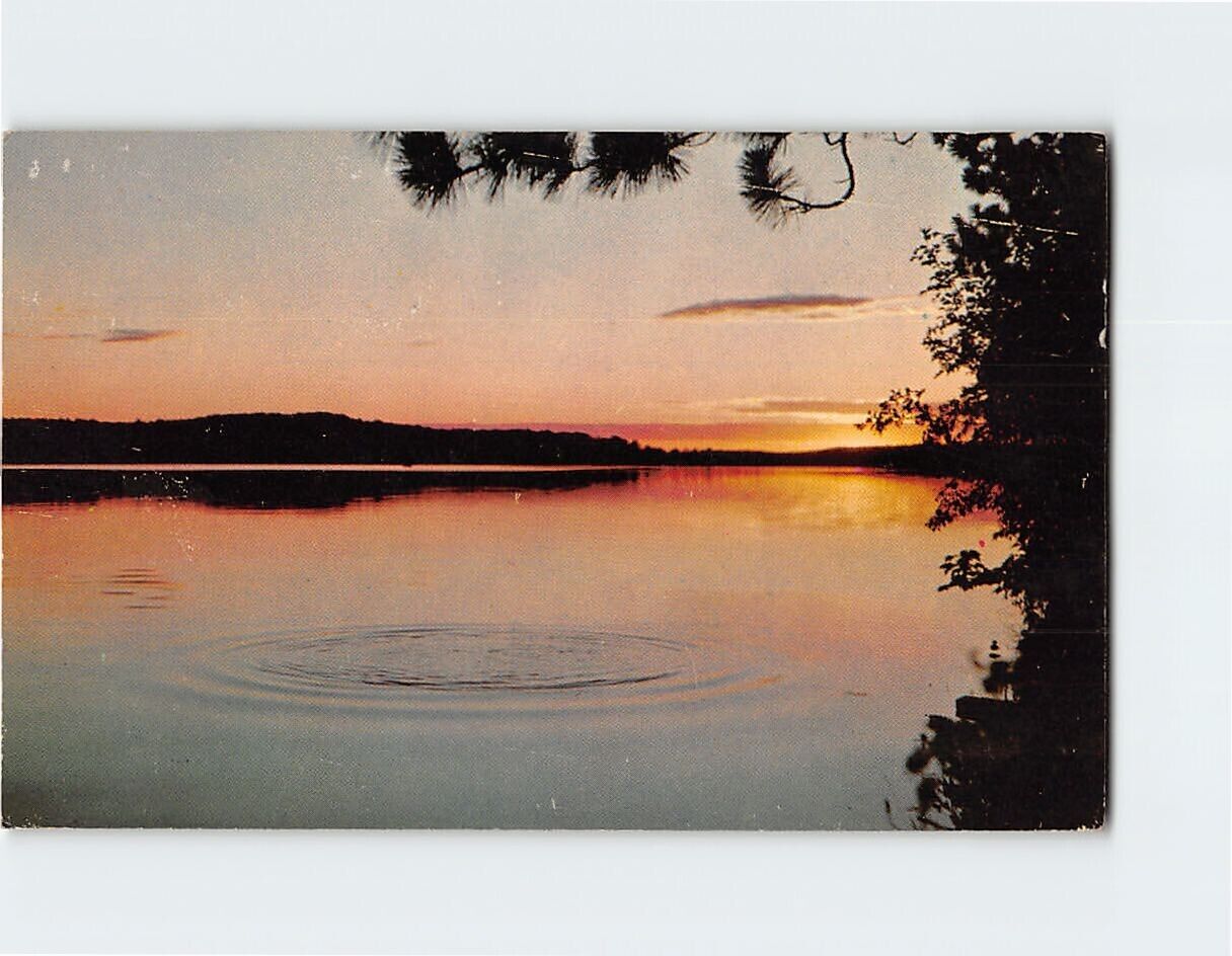 Postcard Lake Trees Ripples Sunset Landscape Scenery USA