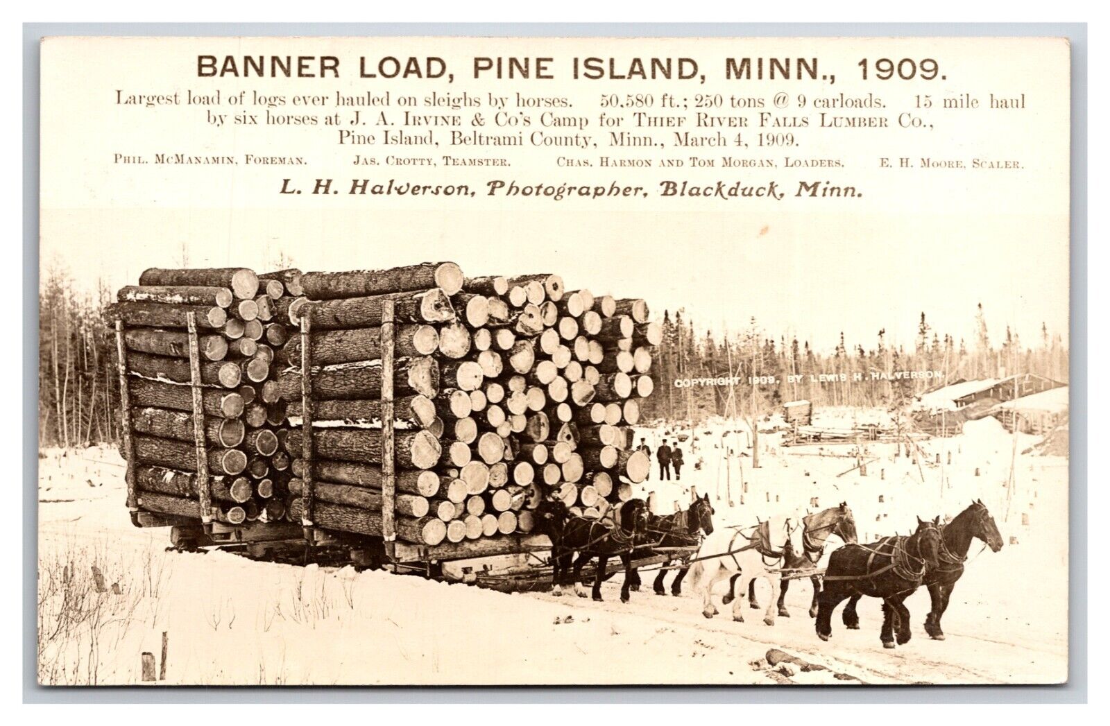 RPPC Horse Drawn Sled Logging Banner Load Pine Island Minnesota MN Postcard Y16
