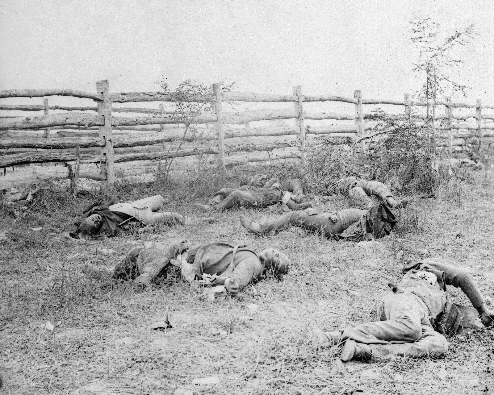 Confederate Dead Hagerstown Turnpike Antietam Sharpsburg - 8x10 Civil War Photo