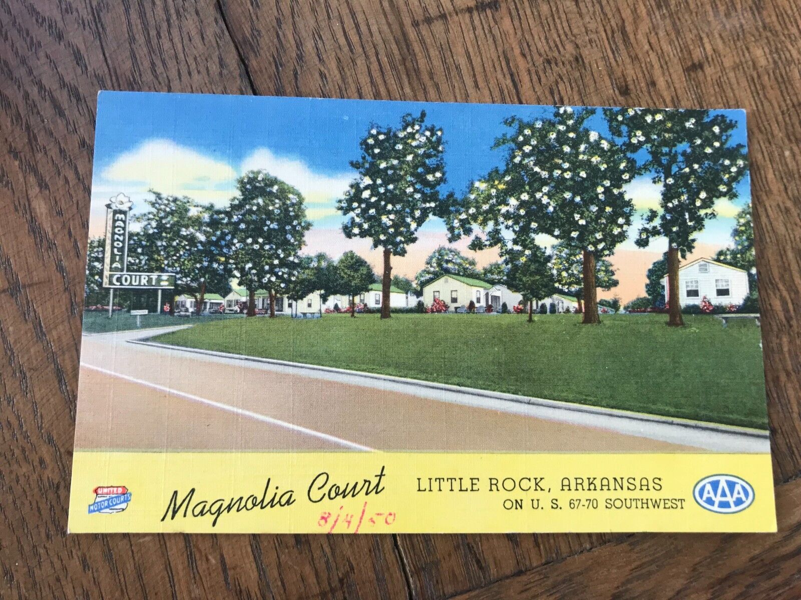 Magnolia Court Little Rock Arkansas Postcard