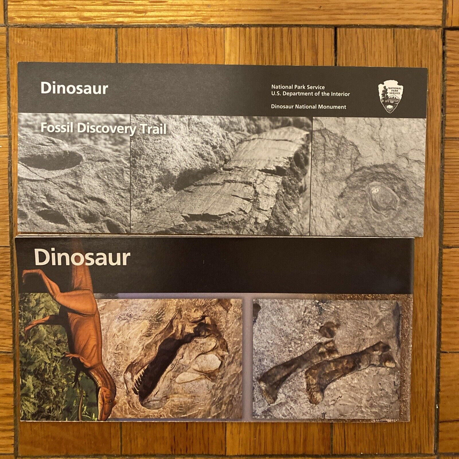 Dinosaur National Monument National Park Service Brochure 