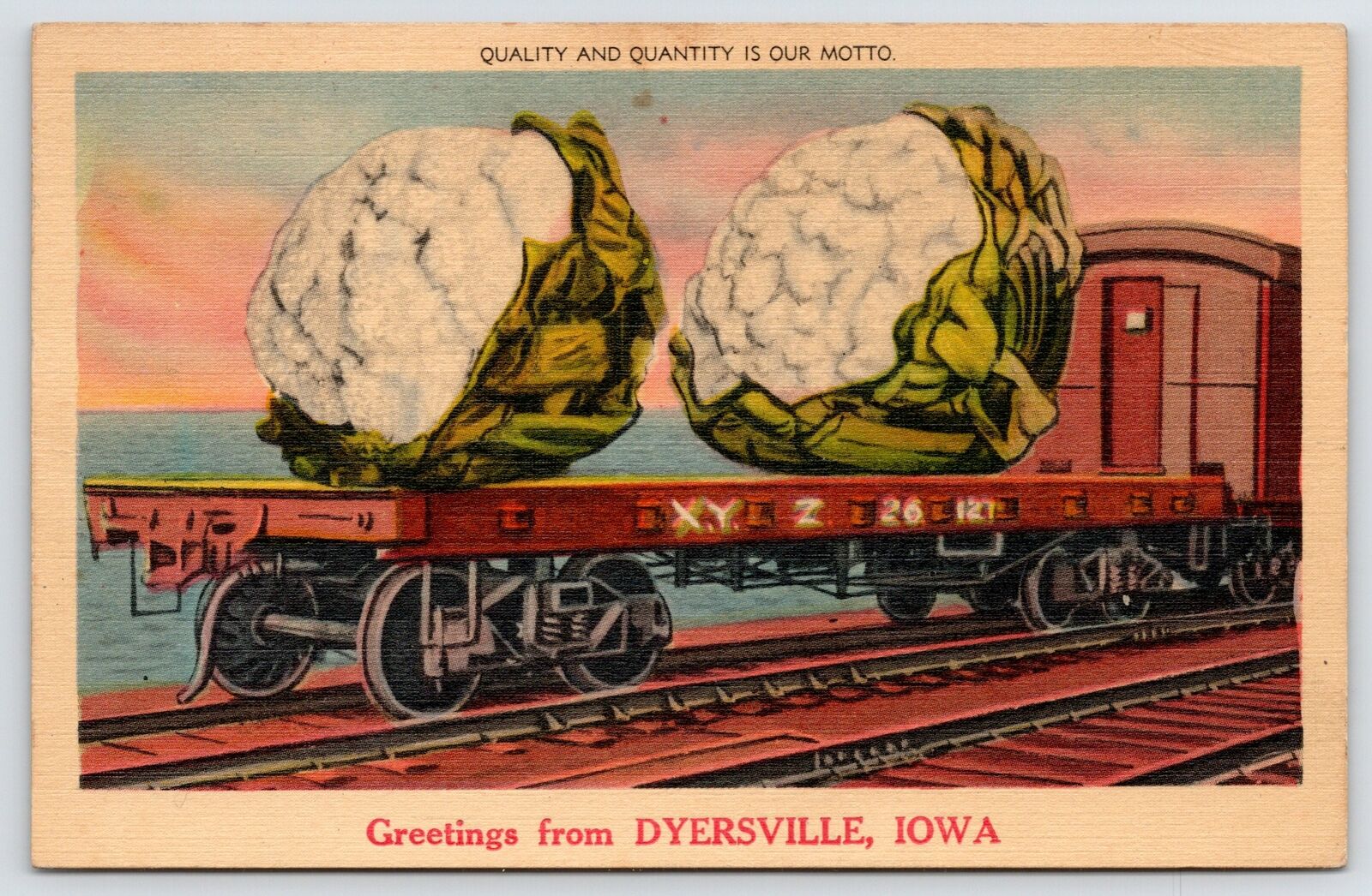 Dyersville IA~Quantity & Quality Exaggerated Cauliflower~Railroad Flatbed 1940s