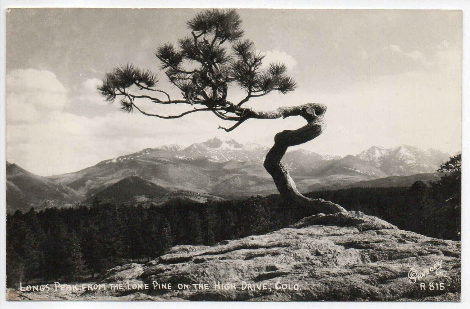 Vintage Postcard CO Colorado Longs Peak Lone Pine High Drive RPPC Posted 1948