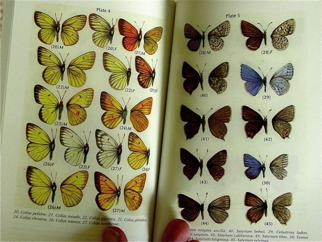 Guide to BUTTERFLIES of YELLOWSTONE/TETON Parks COLOR/160pp/NEW Useful NICE L@@K
