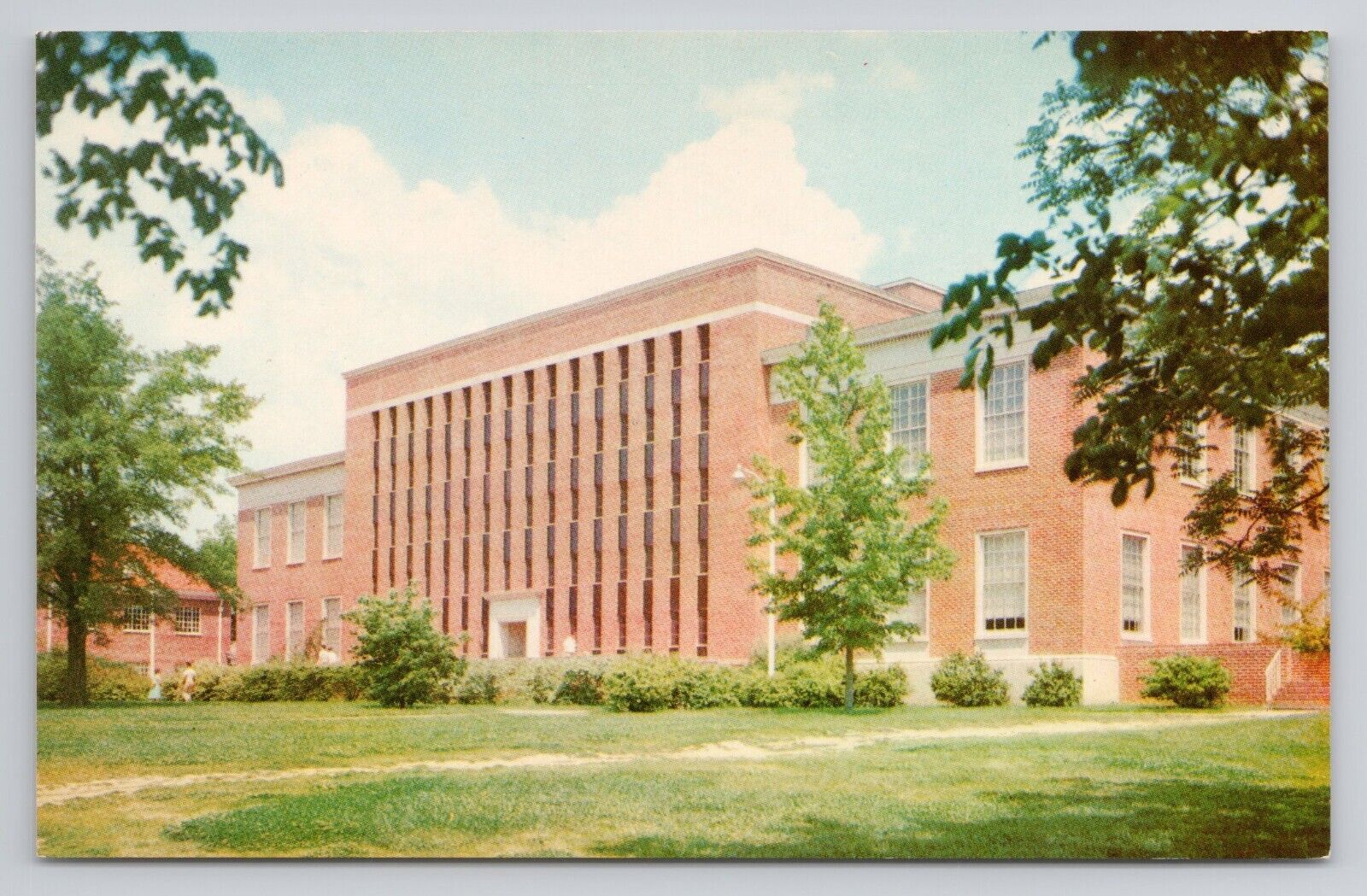 The University Of Mississippi The University Library Postcard 4062